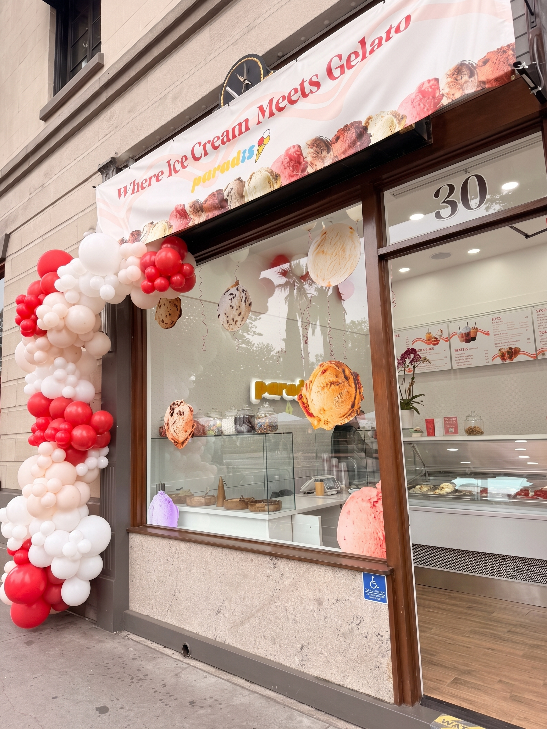 セントポーリア AB(AV) Leningrad Ice Cream Orange – Paradis Ice Cream